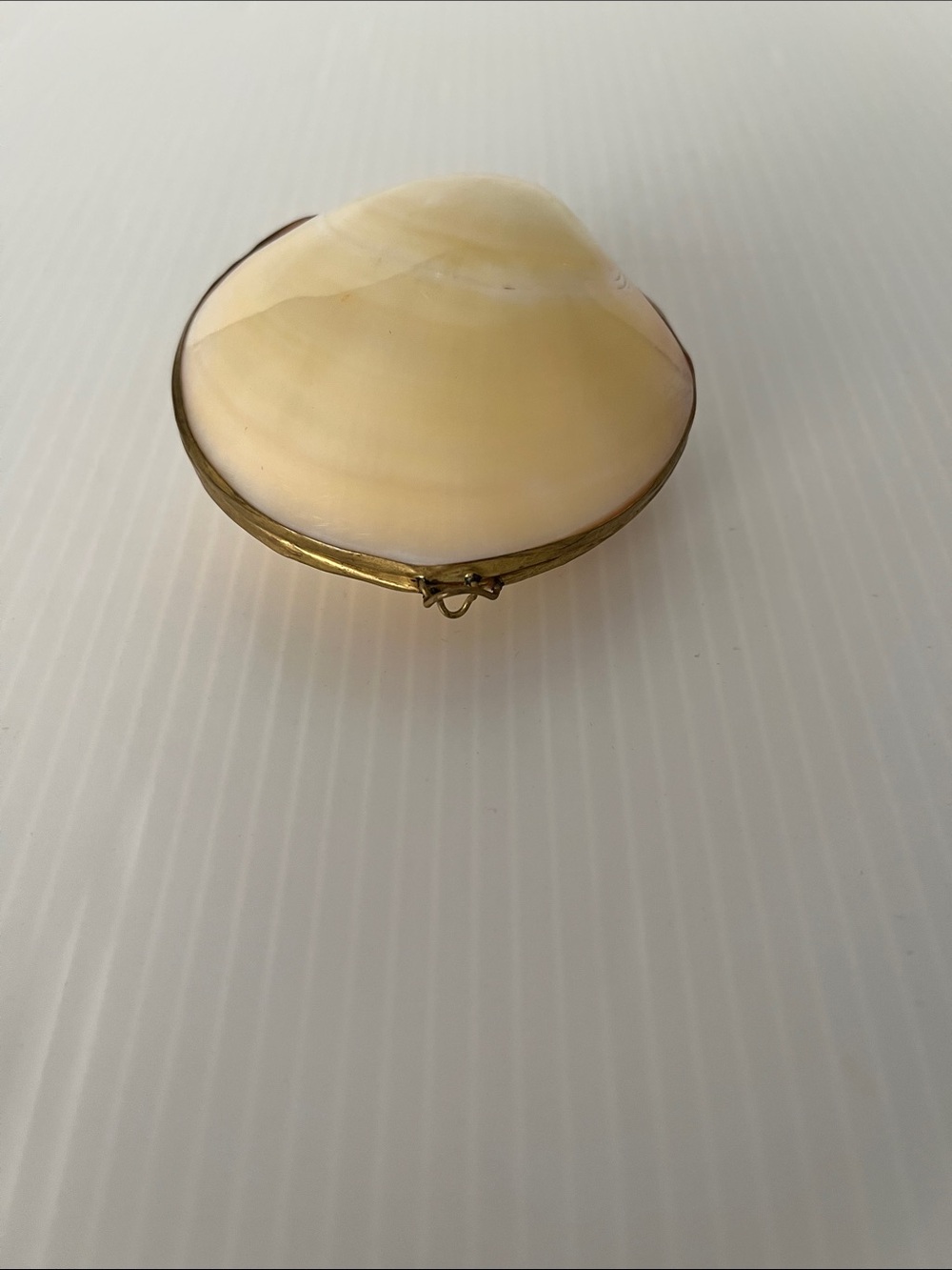 Vintage Polished Natural Clam Shell Trinket Box